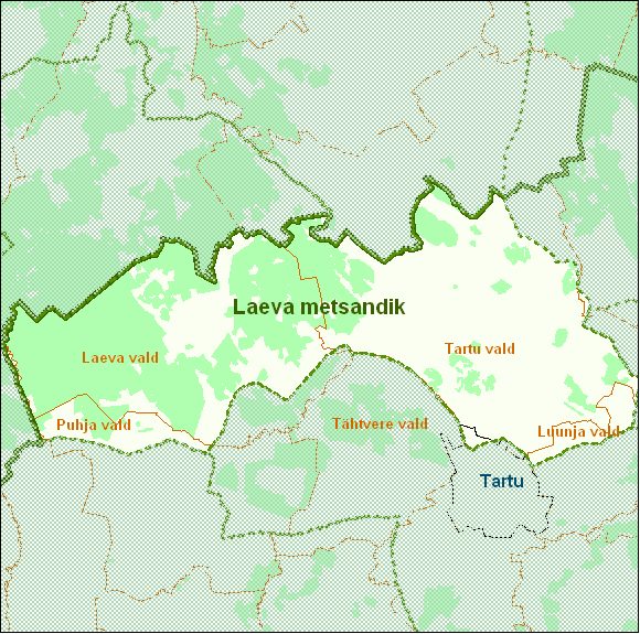 Laeva metsandik