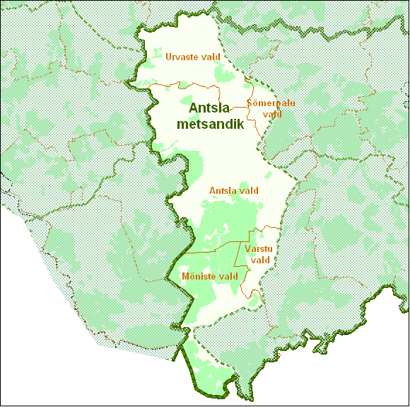 Antsla metsandik