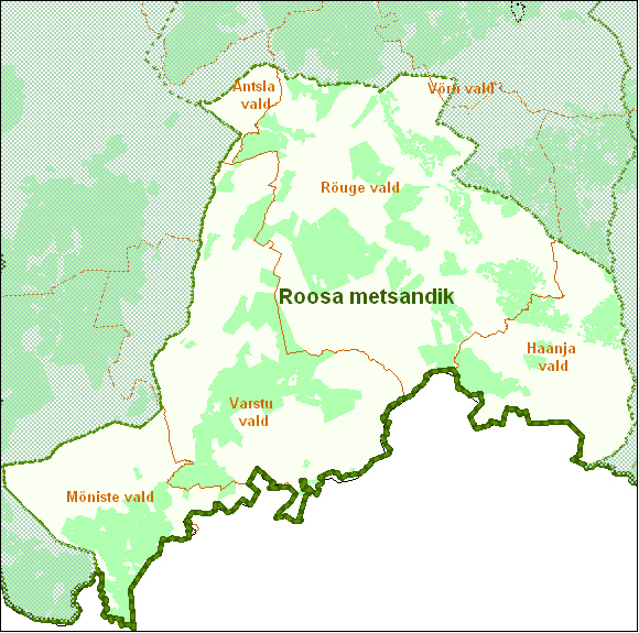 Roosa metsandik